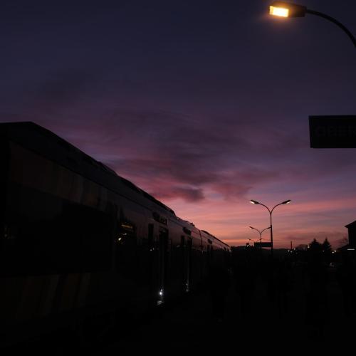DSCF1515